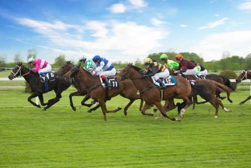 apostas em corridas de cavalo online, como apostar em cavalos pela internet, dicas de apostas em corridas de cavalos